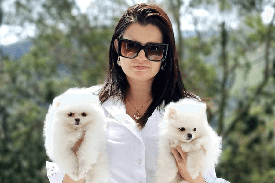 Guia do Lulu da Pomerânia: Treinamento e socialização do Lulu da Pomerânia Guia do Lulu da Pomerânia: Treinamento e socialização do Lulu da Pomerânia
